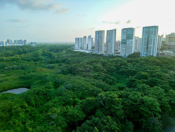 Comment créer un écosystème durable avec un jardin de permaculture ?